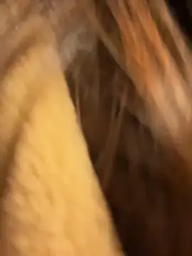 Sophie Avory online show from October 23, 9:10 pm