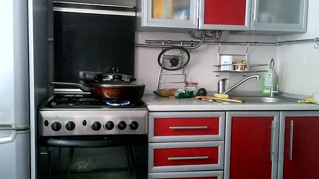 Kashtanka  online show from February 16, 12:05 pm