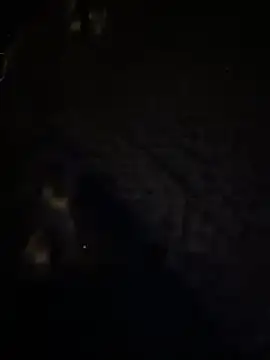 -Panther online show from May 12, 8:04 pm