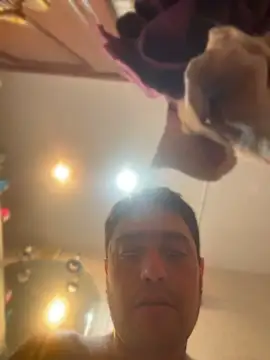 camisexxxtodo online show from April 9, 12:13 am