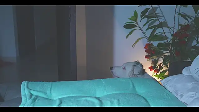 LorenRosse online show from May 16, 12:24 am