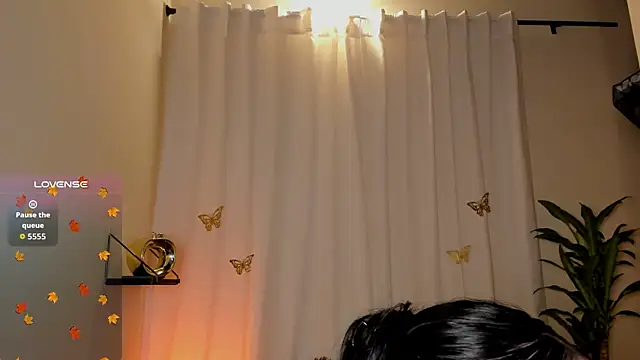 Kaaiiri online show from December 17, 12:53 pm