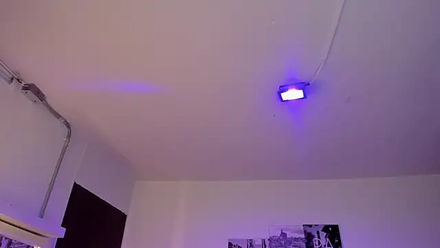 Amy Kiitty  online show from March 27, 1:23 pm