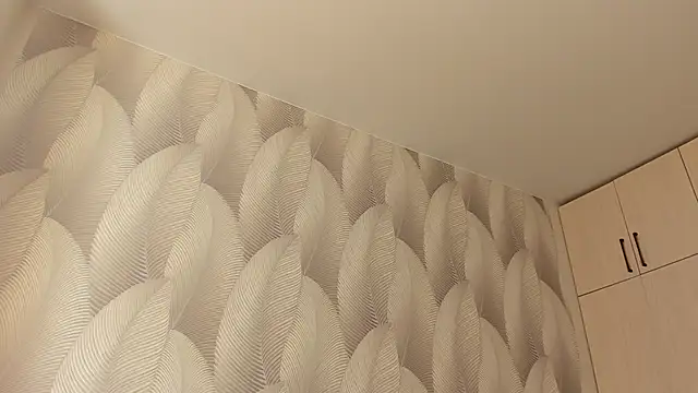 Bambiii bby online show from February 26, 4:00 am