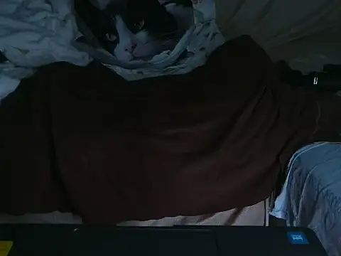 VeneRed online show from October 4, 9:19 pm