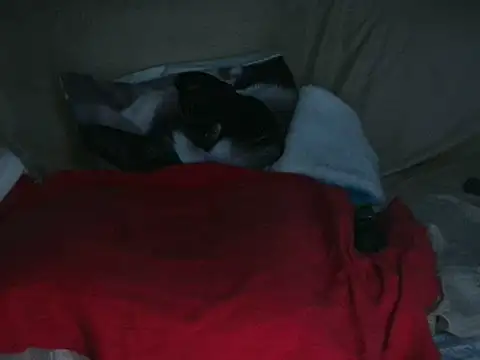 VeneRed online show from October 14, 7:05 pm