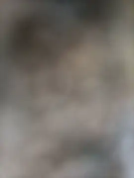 Nimesha76 online show from January 11, 3:22 am