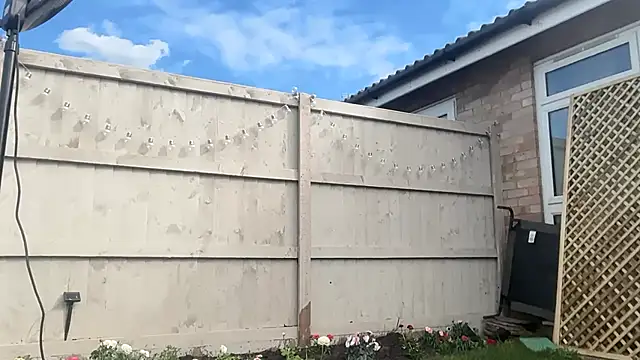 blairbella online show from March 26, 2:41 pm