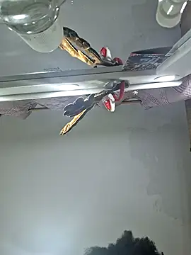 GoddessCarrie online show from February 27, 6:02 am