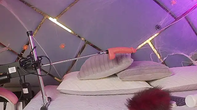 giorgia 13 online show from October 31, 5:53 am