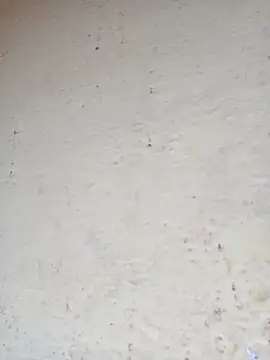 Pooja cut online show from October 13, 3:31 am