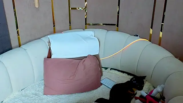 emilytrays online show from May 16, 11:09 am