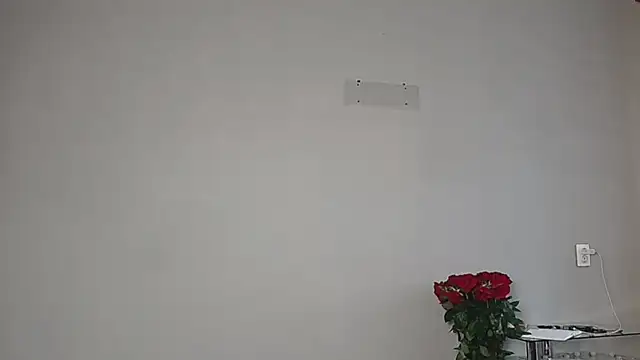 Eva Gloryy online show from March 11, 3:14 pm