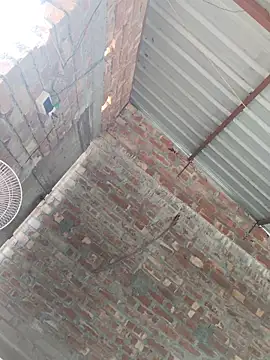 birds0641 online show from October 24, 7:48 am