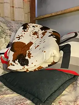 blondiebbc online show from March 30, 7:13 pm