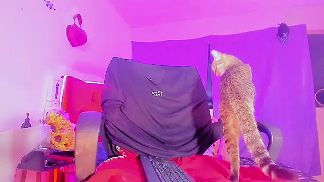 Diamond black 22cm online show from December 19, 11:24 am