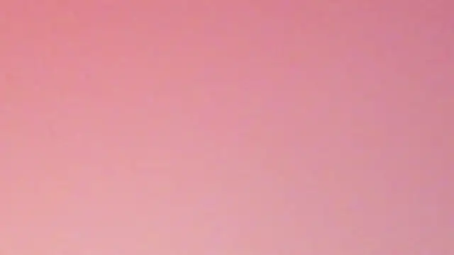 gime lara online show from February 18, 6:51 pm