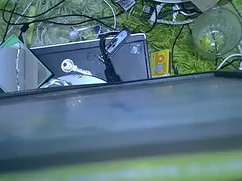 Nubian Nefertiti online show from February 15, 4:15 am