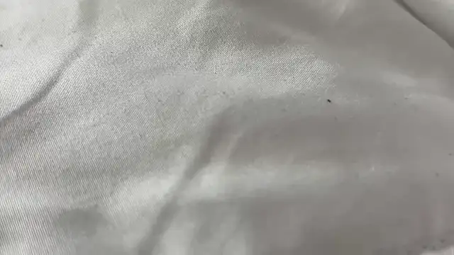 kngkeeem online show from April 5, 9:14 pm