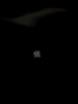 bambi lu online show from November 15, 6:09 pm