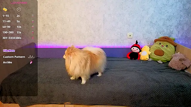 Mini Lady1 online show from November 1, 7:12 am