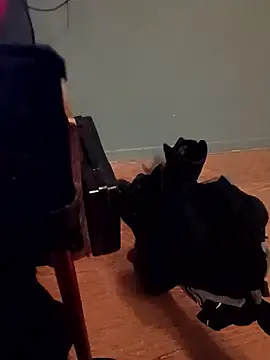 Crossedsissy online show from January 7, 12:36 am