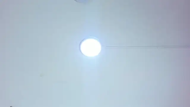 pamemiller1 online show from February 10, 11:13 am