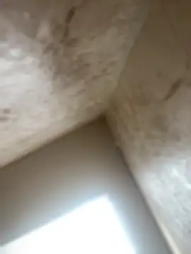 Noa Todokoro online show from October 16, 3:03 pm