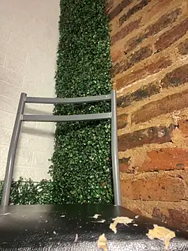 salome Bri online show from February 8, 2:26 am