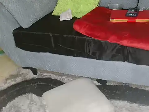 JellyBiggAssy online show from November 21, 8:49 am