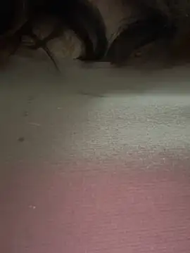 Dior 521 online show from October 25, 12:24 pm