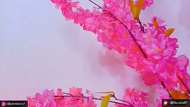 JulietaDavis online show from May 13, 9:37 am