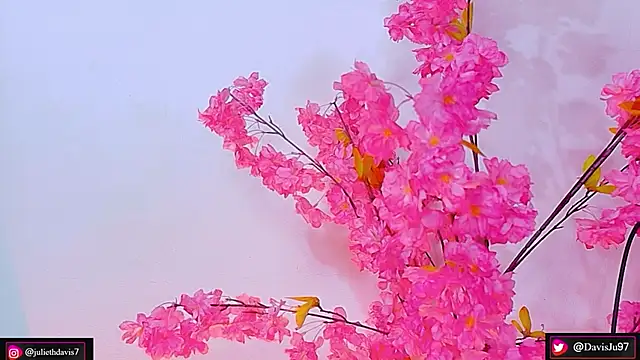 JulietaDavis online show from May 27, 9:39 am