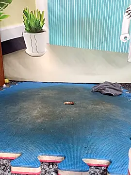 Tyno o online show from September 13, 12:46 pm