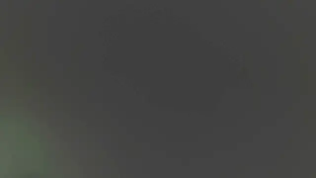 im miauhg online show from October 20, 9:23 am