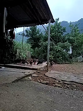 SexyQueen99 online show from October 9, 10:58 pm