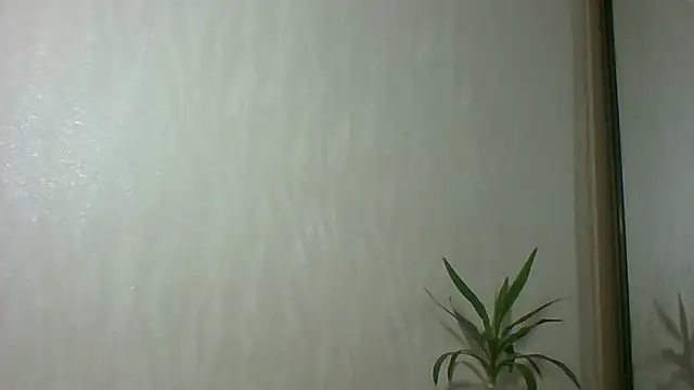 Marellaa online show from December 4, 11:56 am