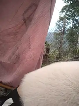 Chaotam1 online show from December 20, 9:35 am