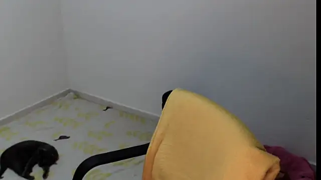 meganmiauu online show from May 11, 4:04 pm