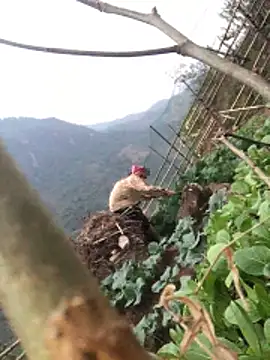 Maymay97 online show from December 20, 10:30 am