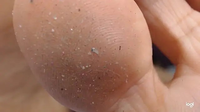 ash feet online show from October 21, 3:43 am