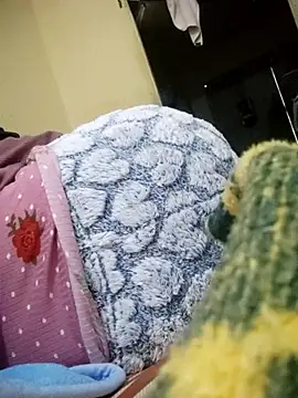 Dalo3a99sixi online show from November 17, 5:02 pm