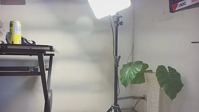 sakuramoss online show from October 24, 6:42 am