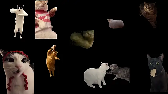 ch0wn m online show from September 20, 11:52 am