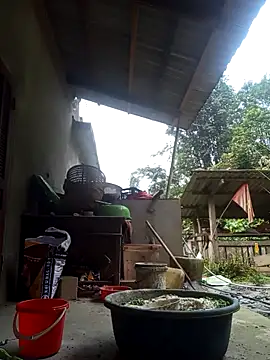 Bibilenu online show from October 6, 12:05 am