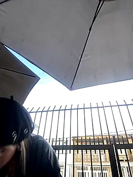 Sallem Pink online show from November 11, 11:07 am