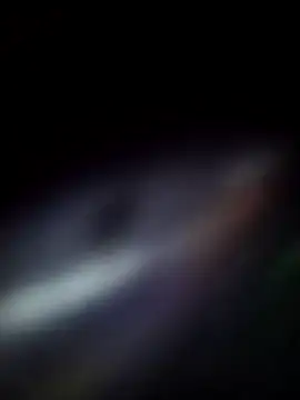 dan-ale online show from January 10, 3:00 am