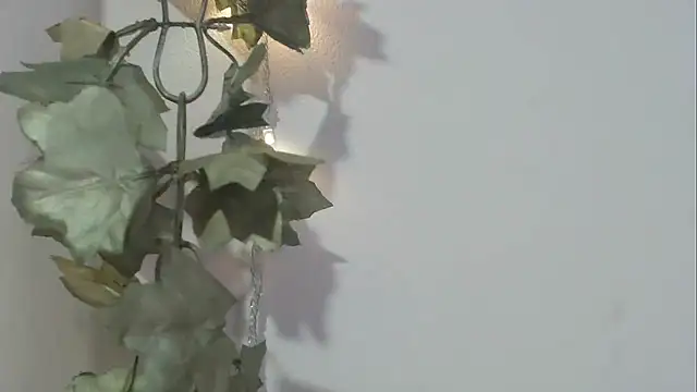 angelainparis28 online show from November 17, 8:31 pm