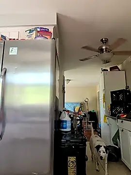 TheMistyPrice online show from April 15, 5:35 pm