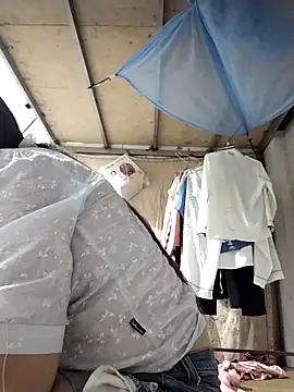 naop04 online show from October 6, 9:37 am